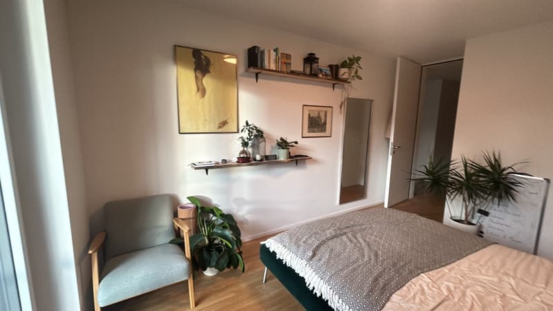 Room in a Bright Wiedikon Apartment (Zürich)  Available asap (8)