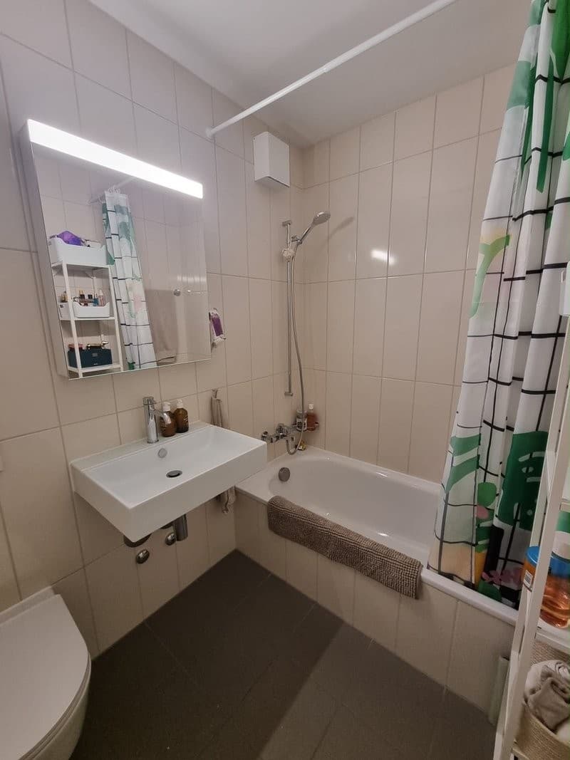 Room in a Bright Wiedikon Apartment (Zürich)  Available asap (4)