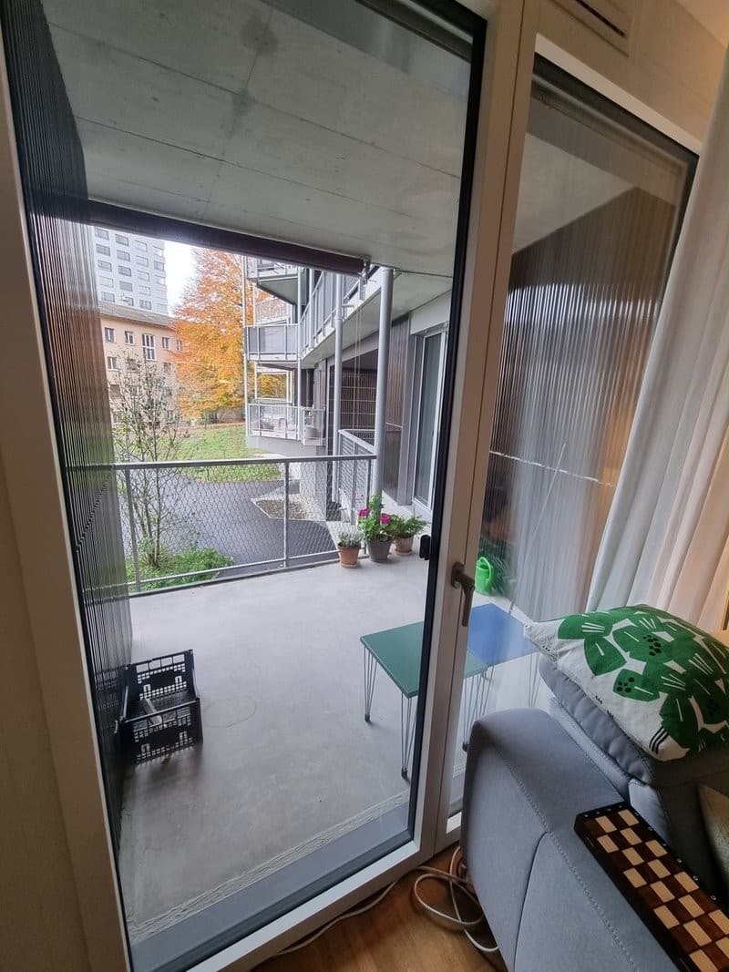 Room in a Bright Wiedikon Apartment (Zürich)  Available asap (6)