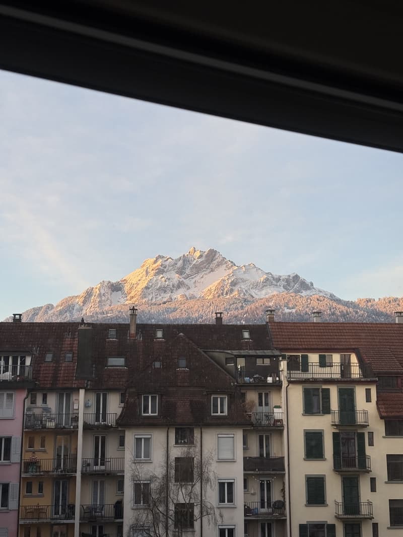 Ahornstrasse 10, Luzern (3)