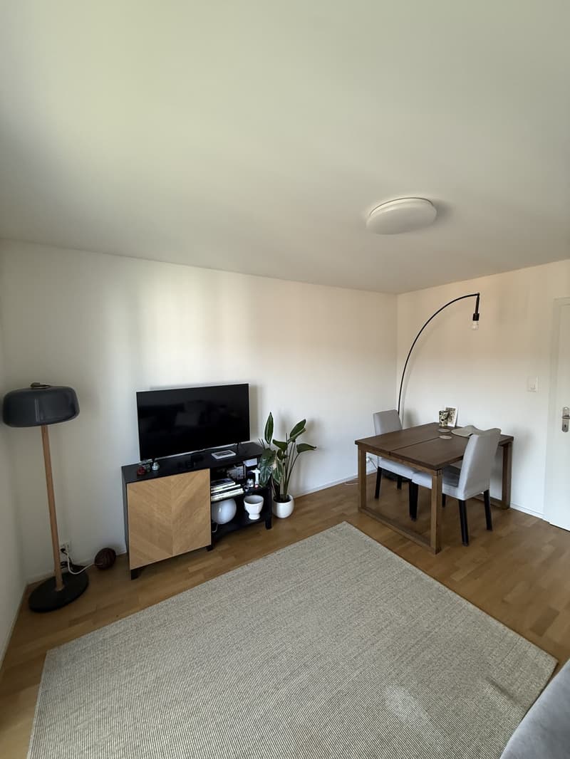 Ahornstrasse 10, Luzern (8)