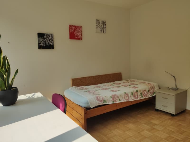 Room in shared flat in Seebach (3)