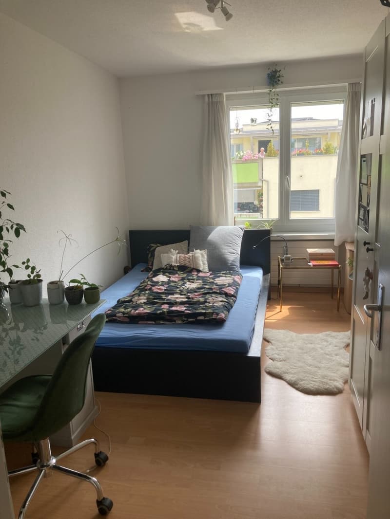 Zimmer (gut geschnitten)
