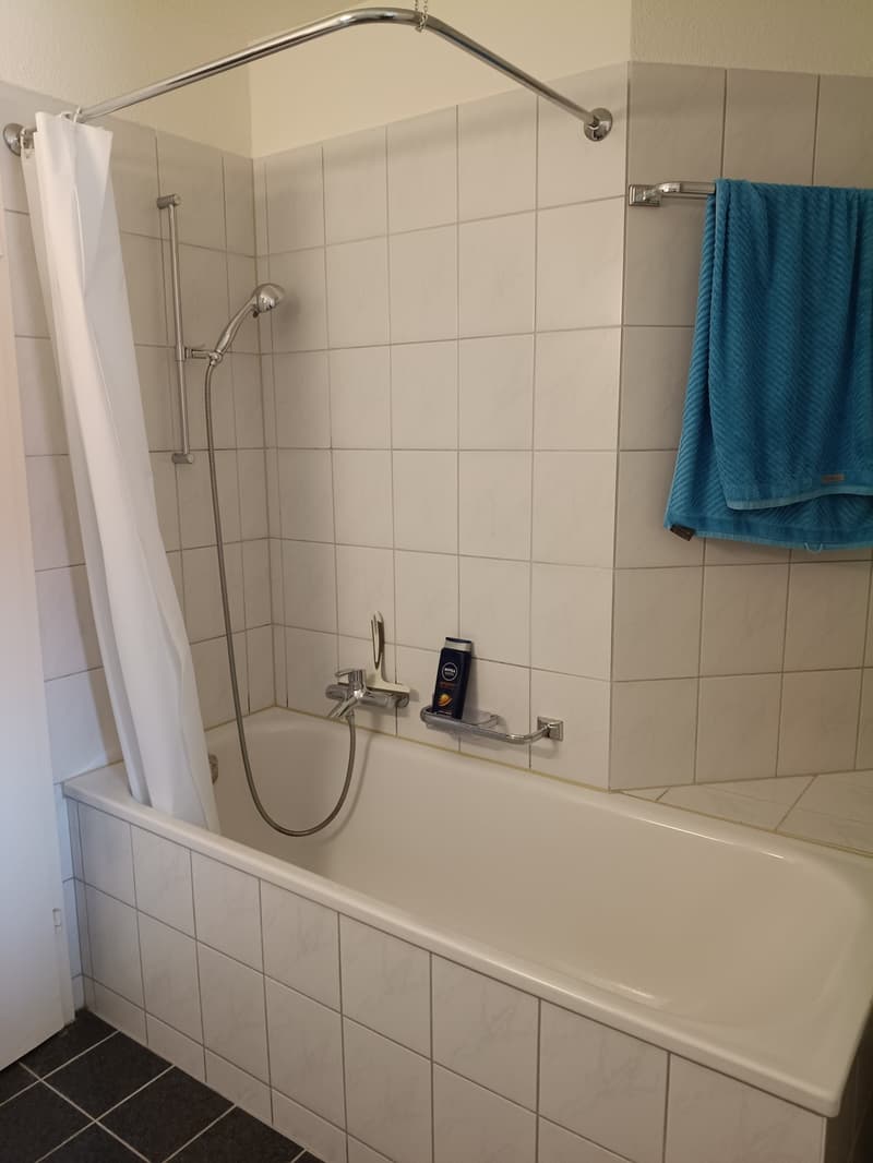 Sublet in Oerlikon from mid October to end November (5)
