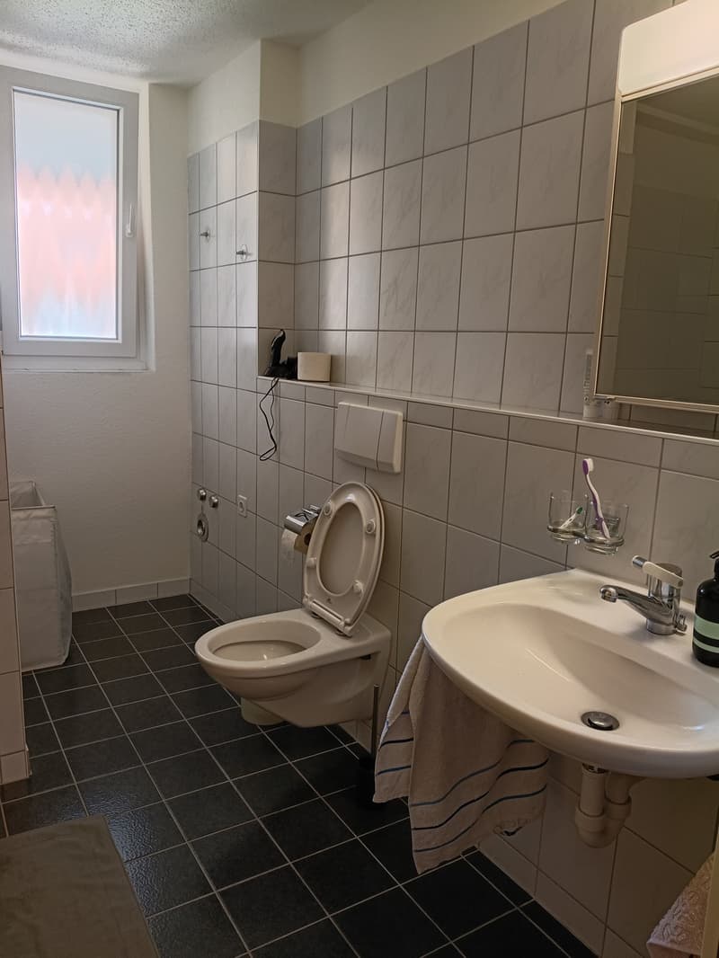 Sublet in Oerlikon from mid October to end November (4)