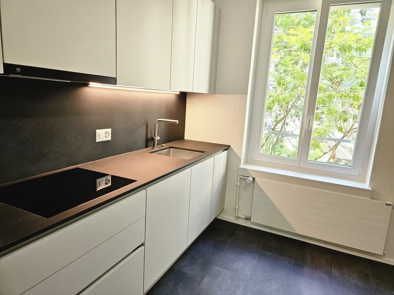 Helle 2.5-Zimmerwohnung in Zürich-Wipkingen (1)