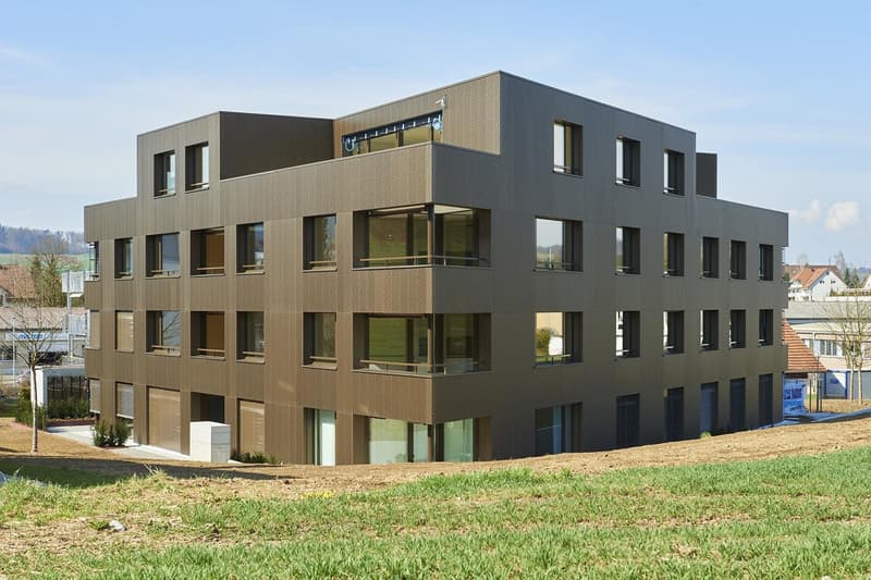 1.5 Zimmer Wohnung Hochwertige 1.5-Zimmerwohnung mit Garten (2)