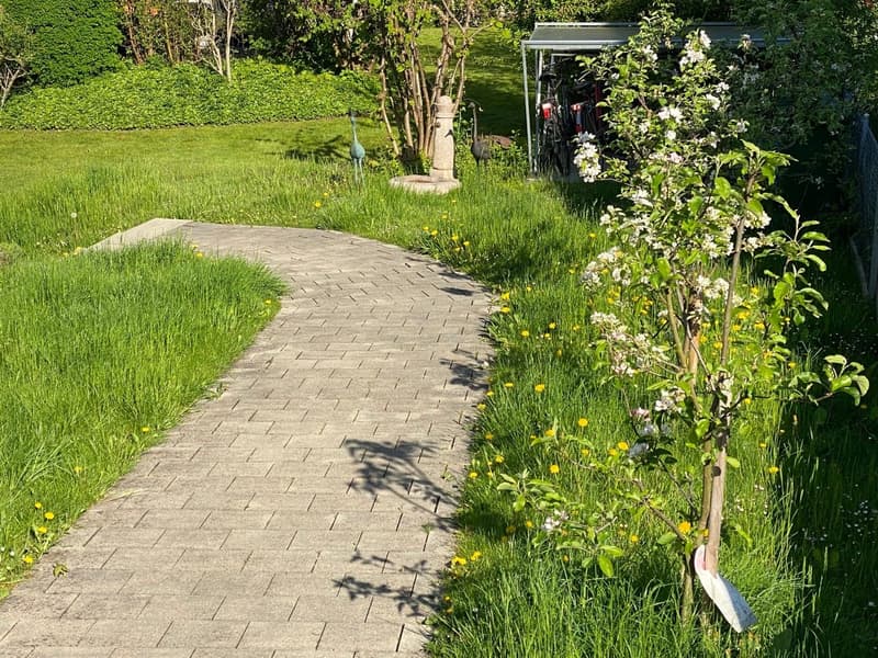 Schön sanierte Terrassenwohnung im Grünen (13)