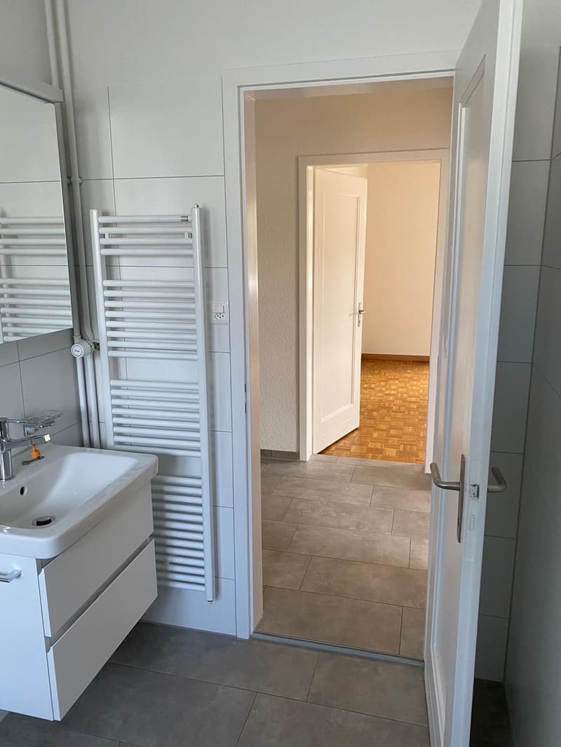 Schön sanierte Terrassenwohnung im Grünen (5)