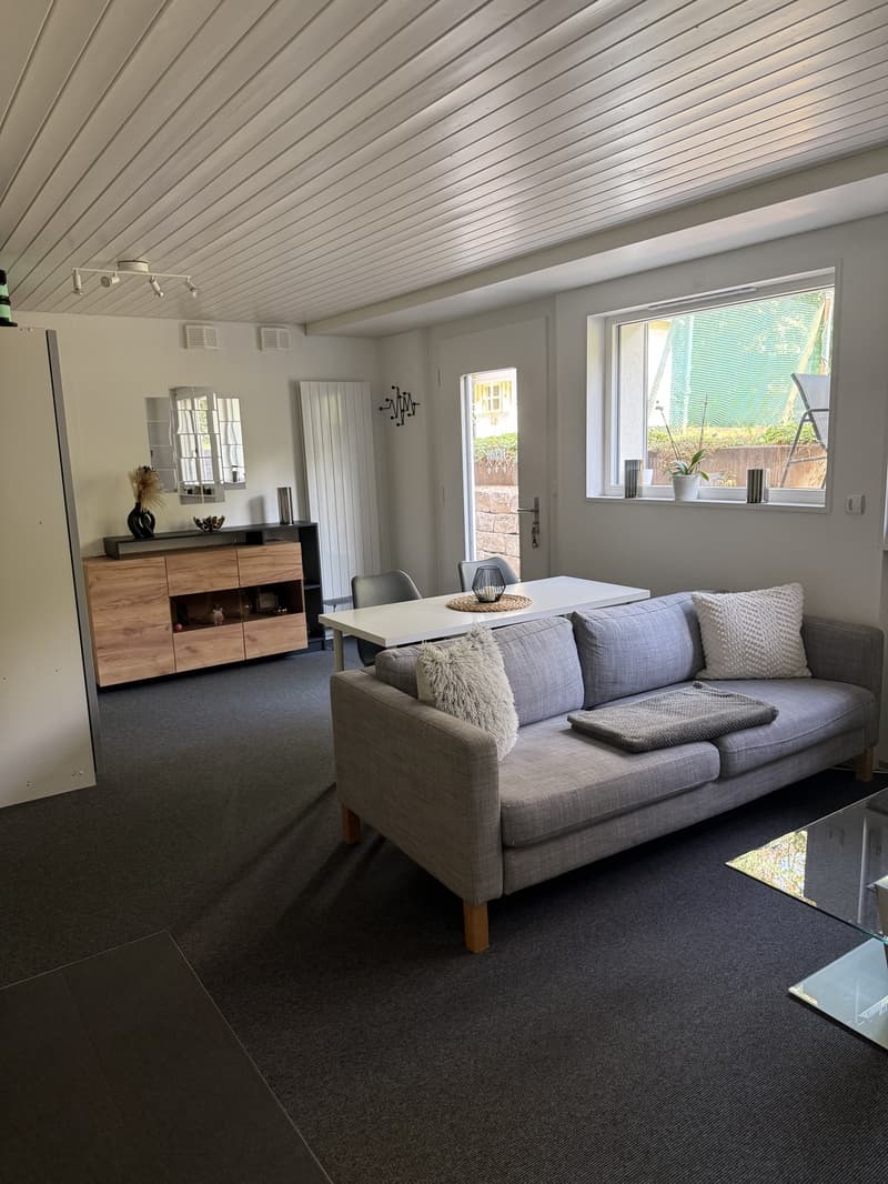 Helle 1-Zimmer-Wohnung mit modernem Ausbau und eigenem Sitzplatz in Rupperswil (2)