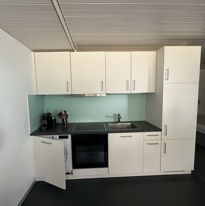 Helle 1-Zimmer-Wohnung mit modernem Ausbau und eigenem Sitzplatz in Rupperswil (3)