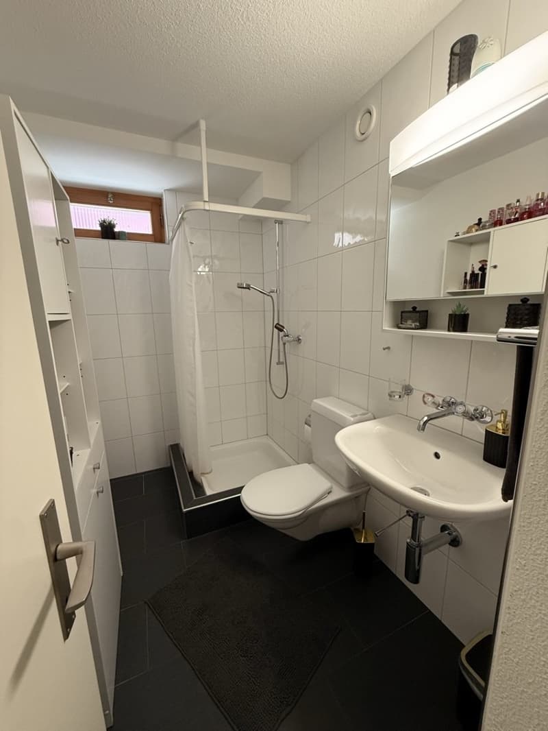 Helle 1-Zimmer-Wohnung mit modernem Ausbau und eigenem Sitzplatz in Rupperswil (5)