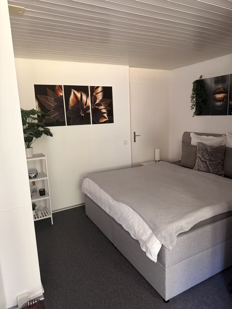 Helle 1-Zimmer-Wohnung mit modernem Ausbau und eigenem Sitzplatz in Rupperswil (4)