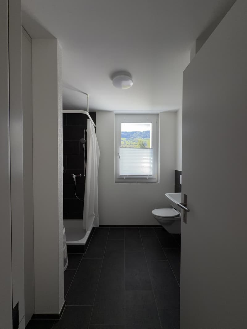 3.5-Zimmer-Wohnung (5)