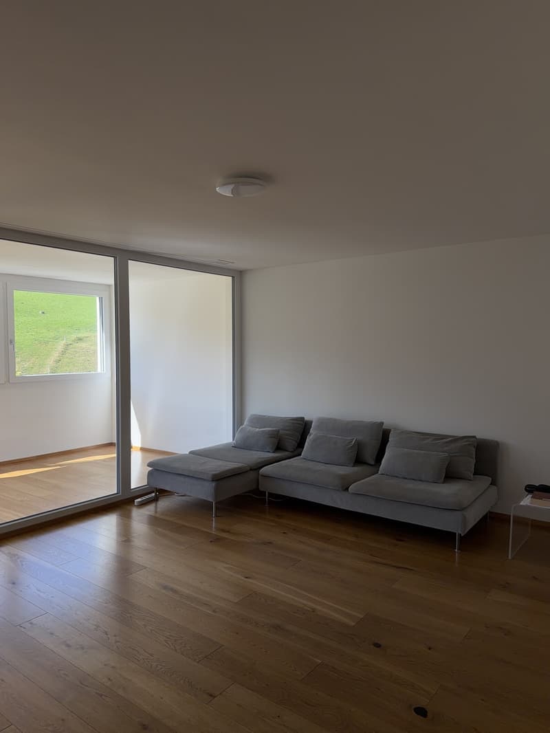 3.5-Zimmer-Wohnung (3)