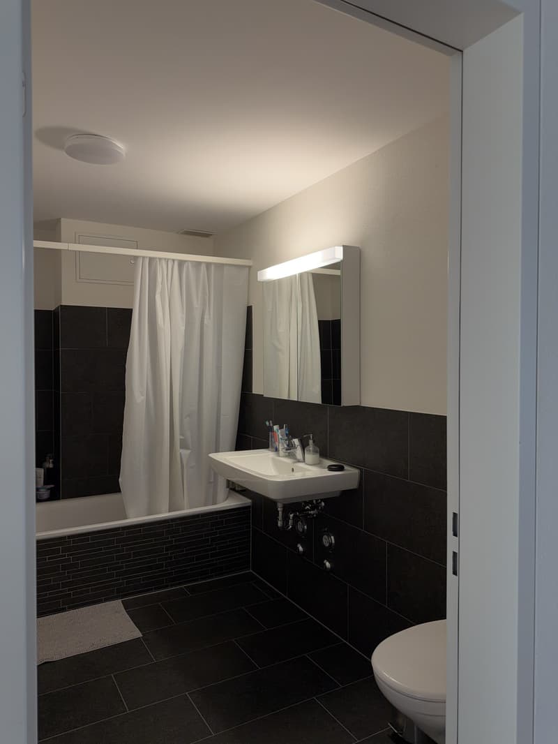 3.5-Zimmer-Wohnung (8)