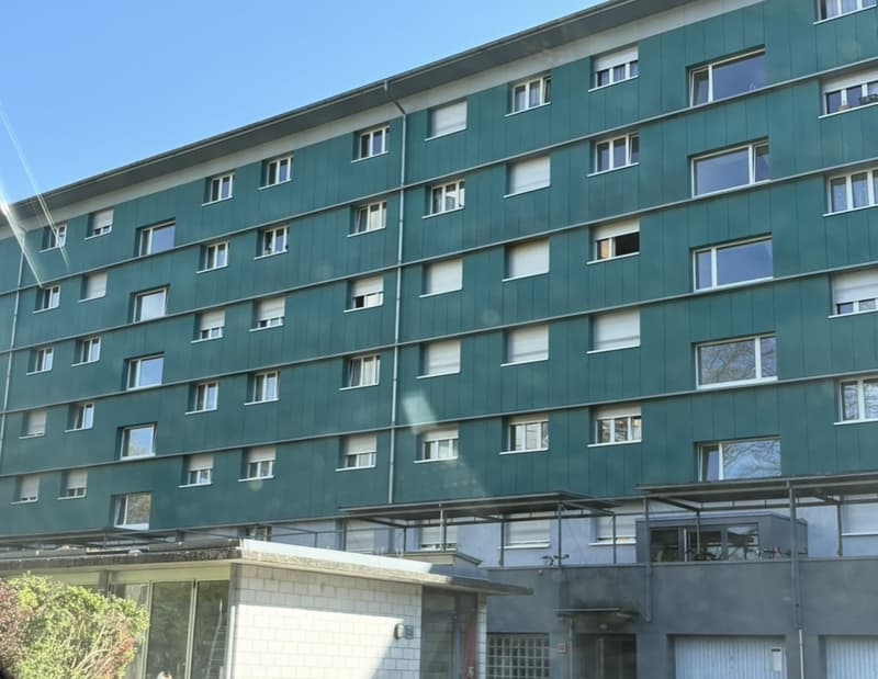 Grosszügige 5- Zimmer Wohnung in Zuchwil (2)