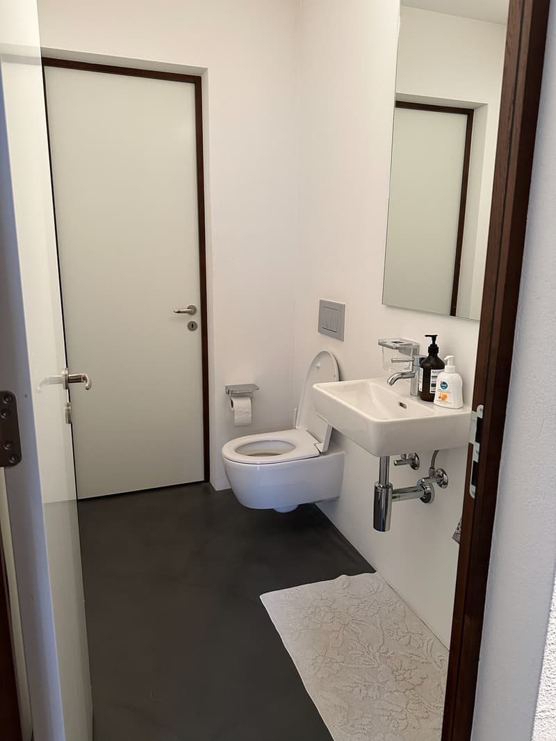 Lease takeover  partially furnished apartment with underground parking in Zürich (8045)  available 1 October 2026 (10)