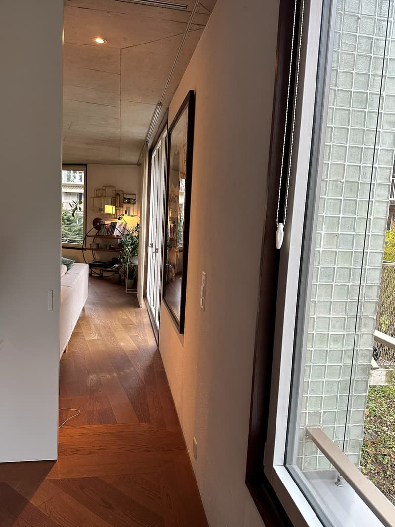 Lease takeover  partially furnished apartment with underground parking in Zürich (8045)  available 1 October 2026 (12)