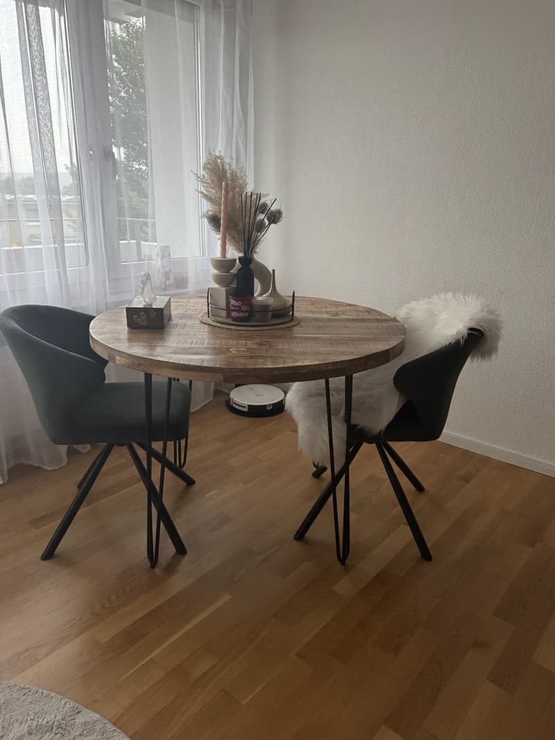 gemütliche und helle Wohnung zu vermieten (2)