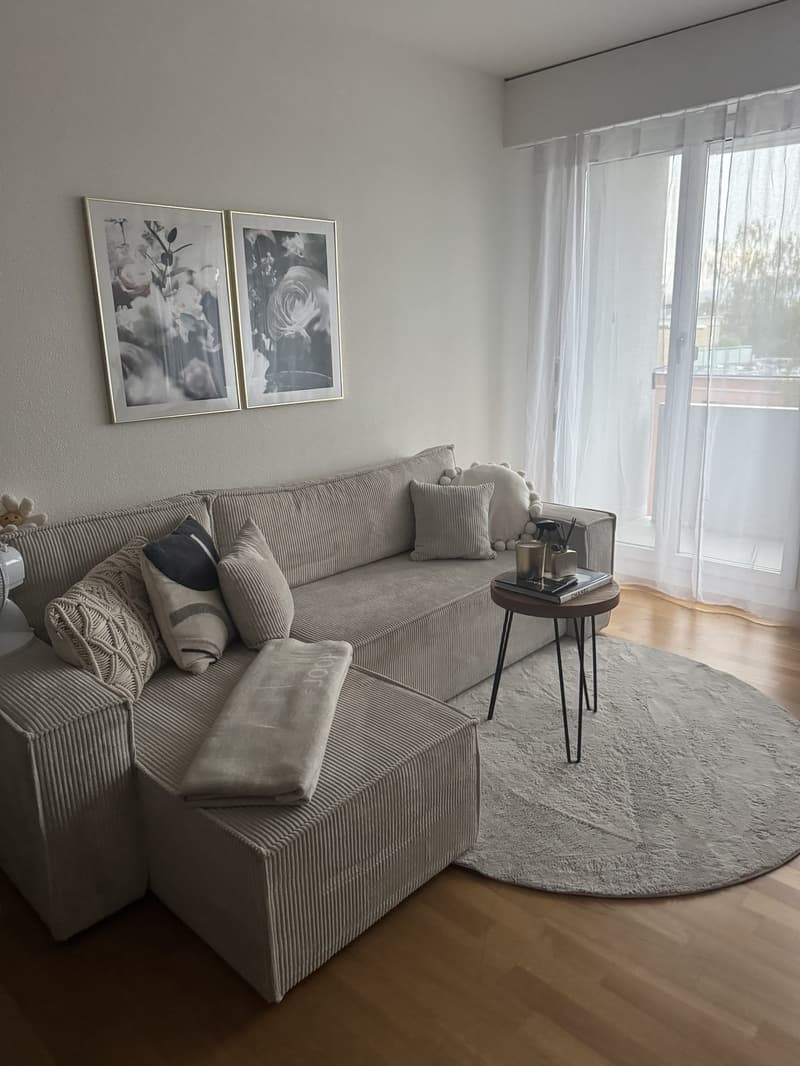 gemütliche und helle Wohnung zu vermieten (1)