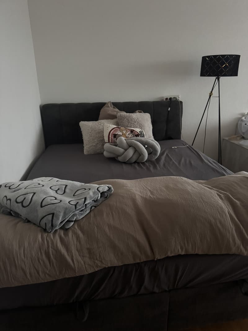 gemütliche und helle Wohnung zu vermieten (3)