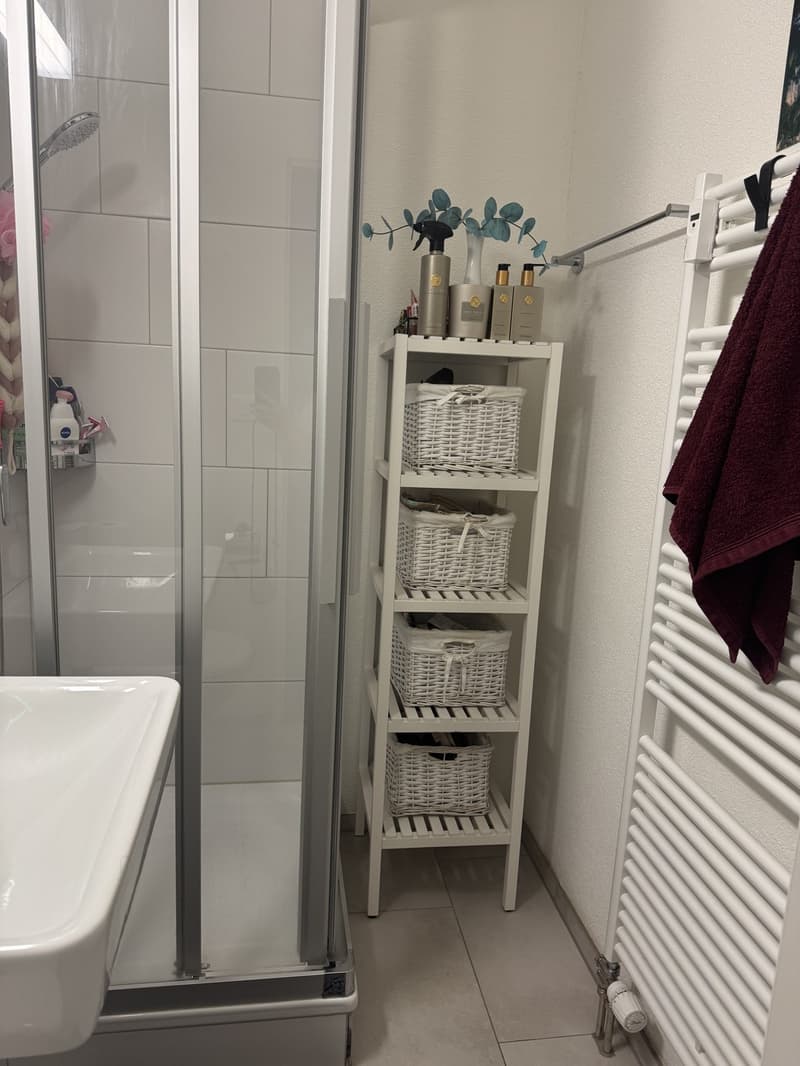 gemütliche und helle Wohnung zu vermieten (4)
