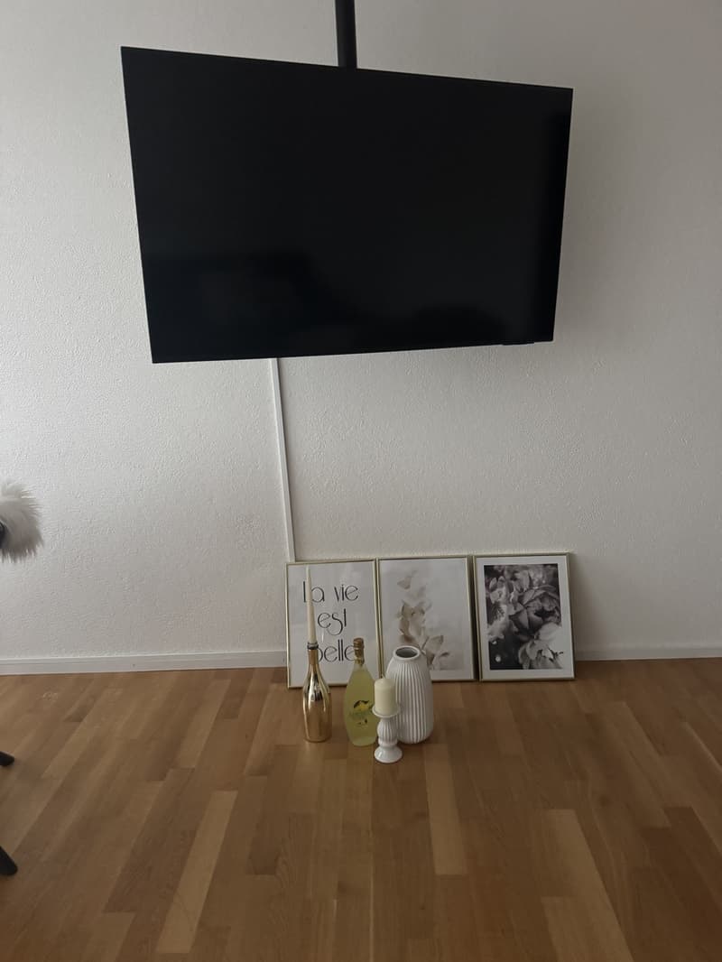 gemütliche und helle Wohnung zu vermieten (5)