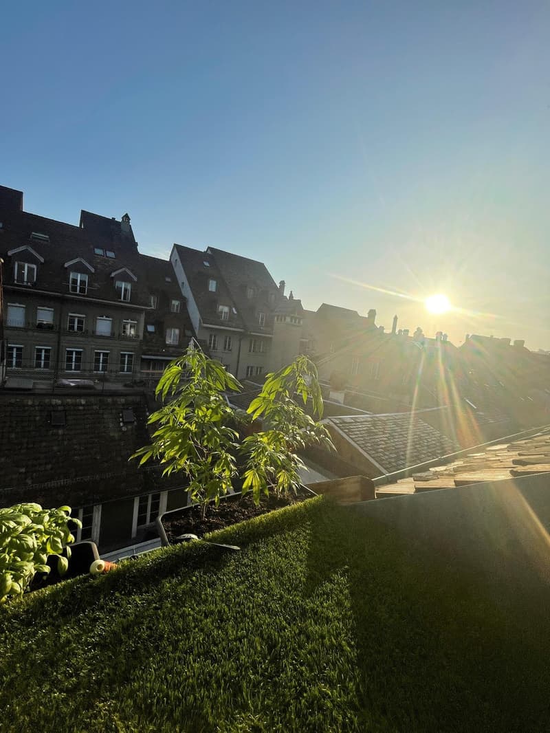 Nachmieter gesucht für 2.5-Zi-Maisonette in der Altstadt Bern (2)