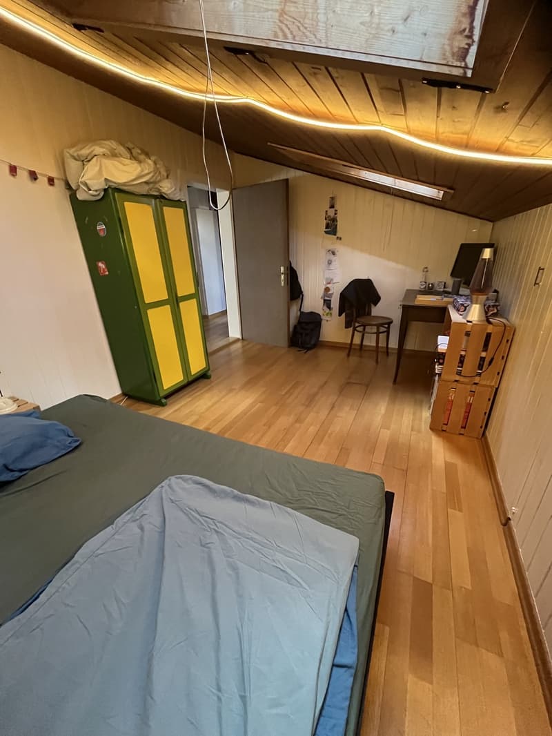 Freies WG Zimmer im Kirchenfeldquartier (5)