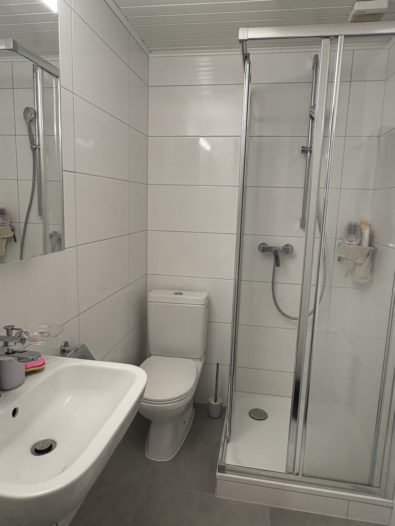 Bel appartement spacieux à louer (5)