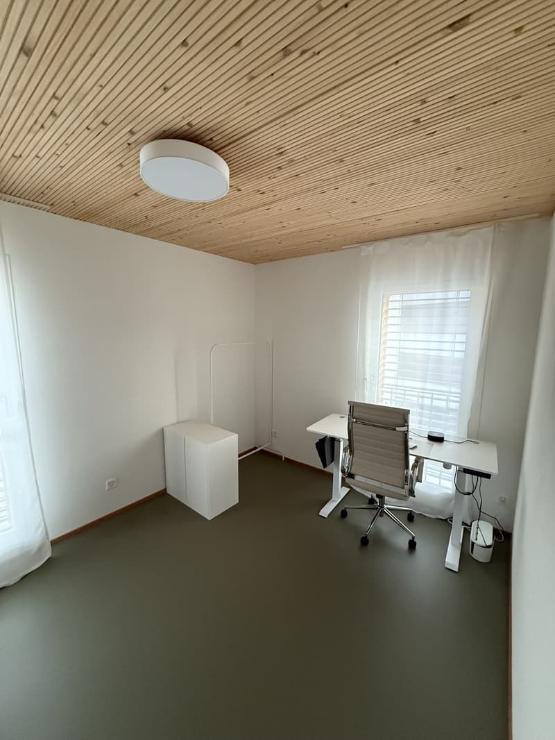 Room in modern Apartment in Uster - Available now or from December 1st (3)