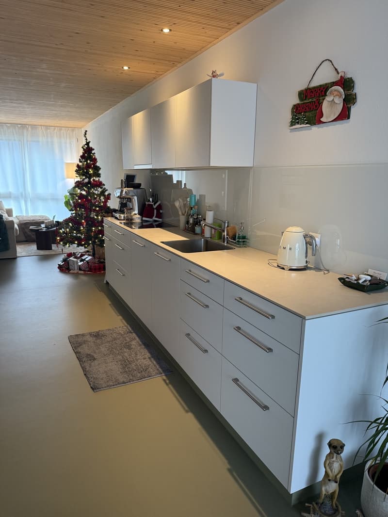 Room in modern Apartment in Uster - Available now or from December 1st (1)