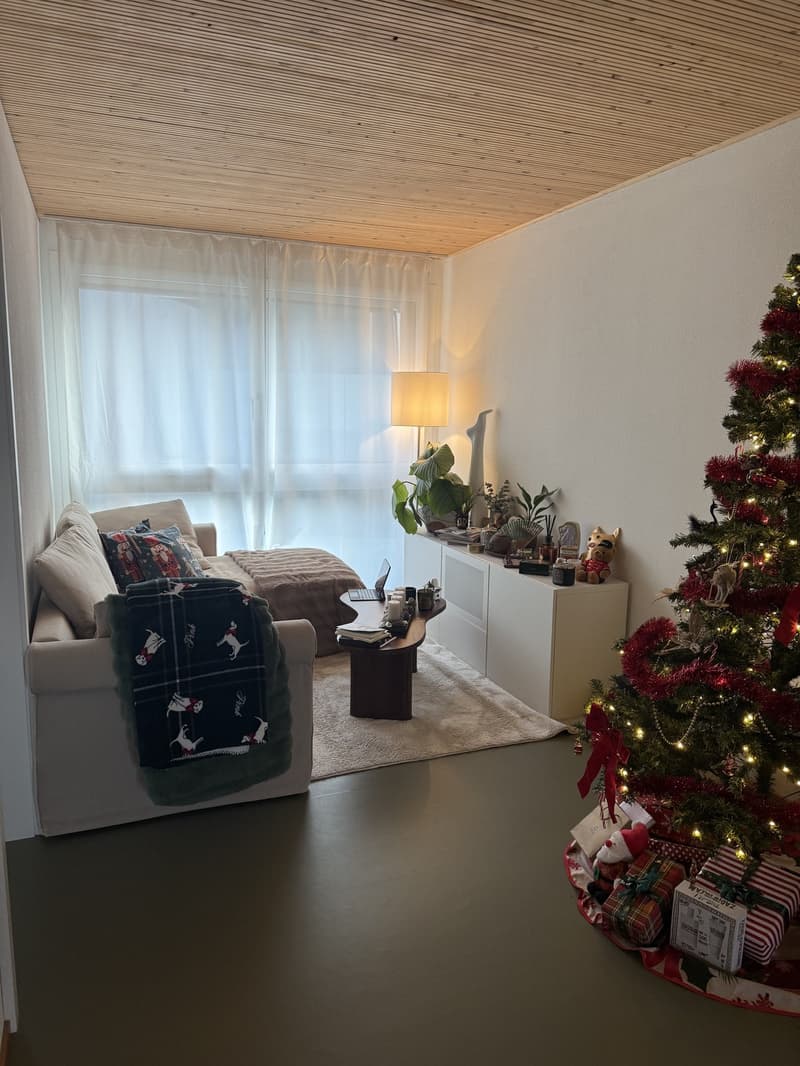Room in modern Apartment in Uster - Available now or from December 1st (2)