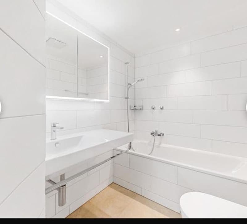 Schöne 4.5 Zimmer Wohnung in Zürich Höngg (8)