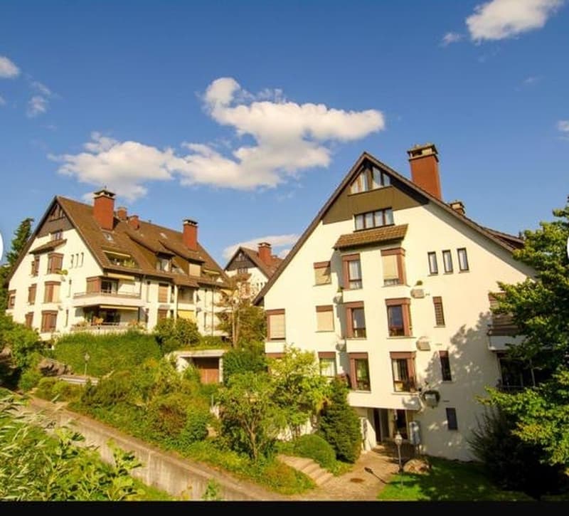 Schöne 4.5 Zimmer Wohnung in Zürich Höngg (2)