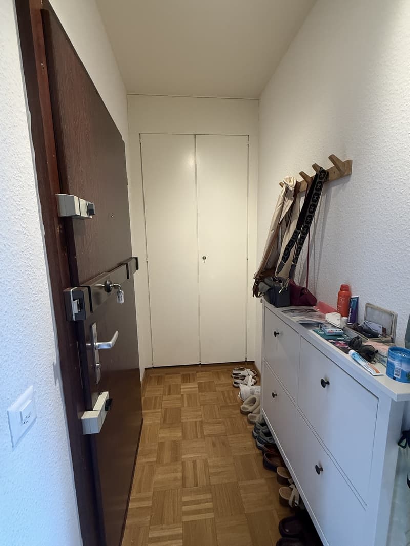 À remettre  appartement de charme 3 pièces aux Augustins / Plainpalais (5)