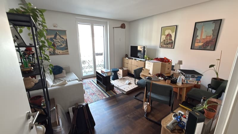 Helle 3-Zimmer-Wohnung (68m²) in einer tollen Nachbarschaft, nahe der Limmat (1)
