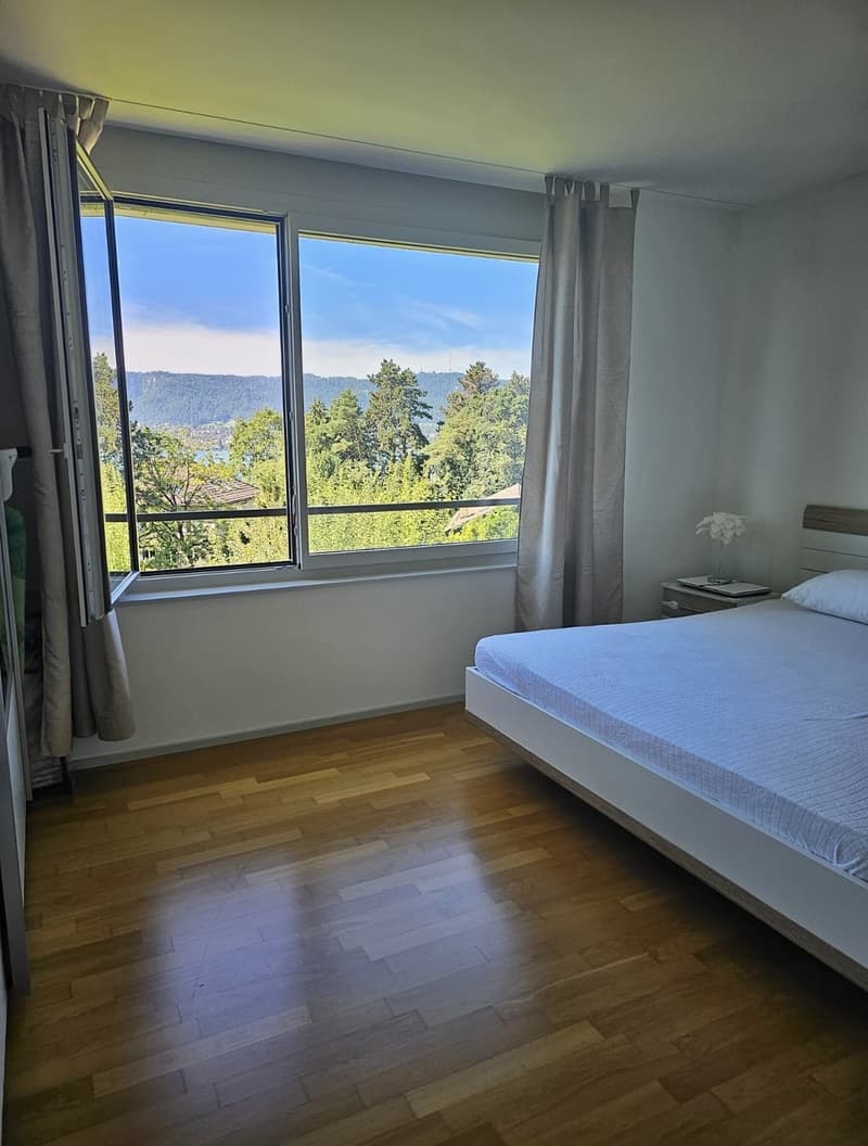 Sonnige 2.5 Zimmer-Attikawohnung in 8008, Zürich - Einzug nur am 1. Oktober 2026 und nicht später! (5)