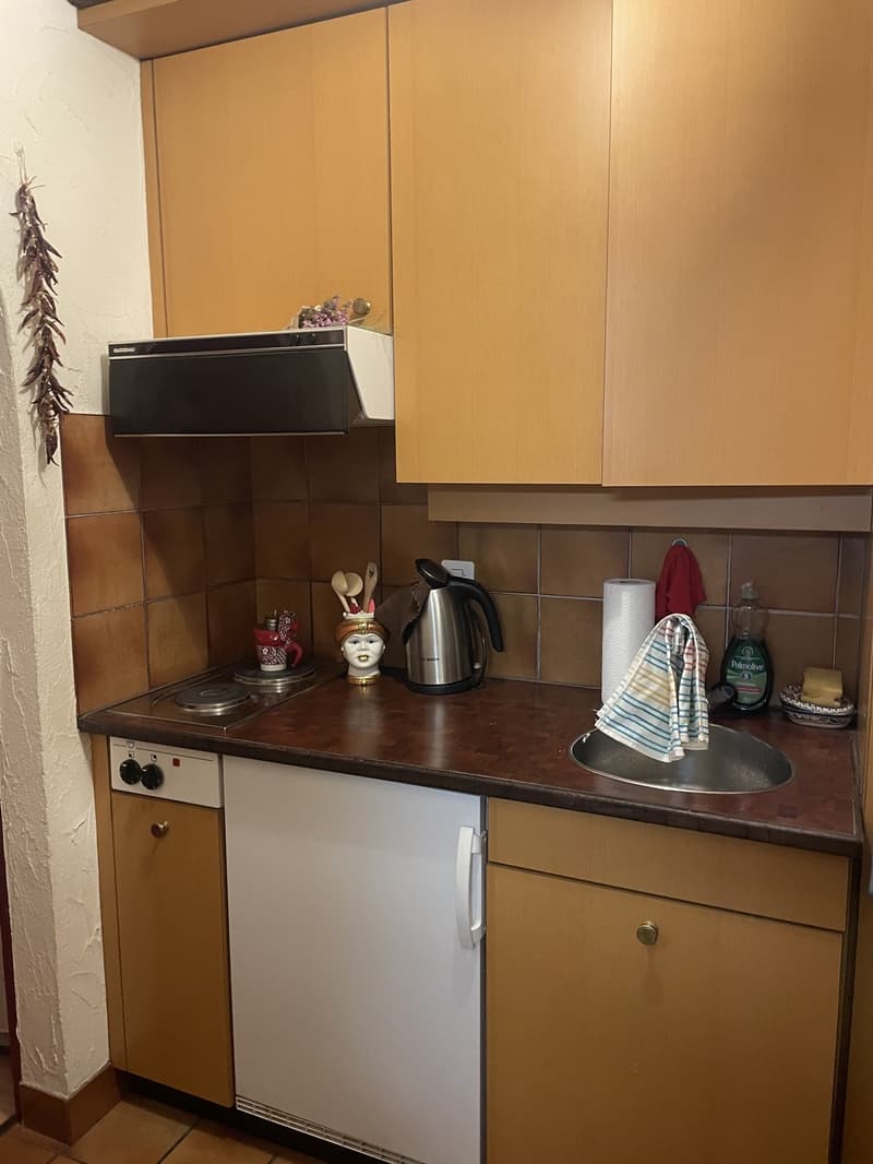 Nachmieter:in für 1 Zimmer Wohnung an zentraler Lage gesucht (1)