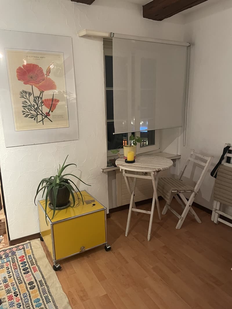 Nachmieter:in für 1 Zimmer Wohnung an zentraler Lage gesucht (2)