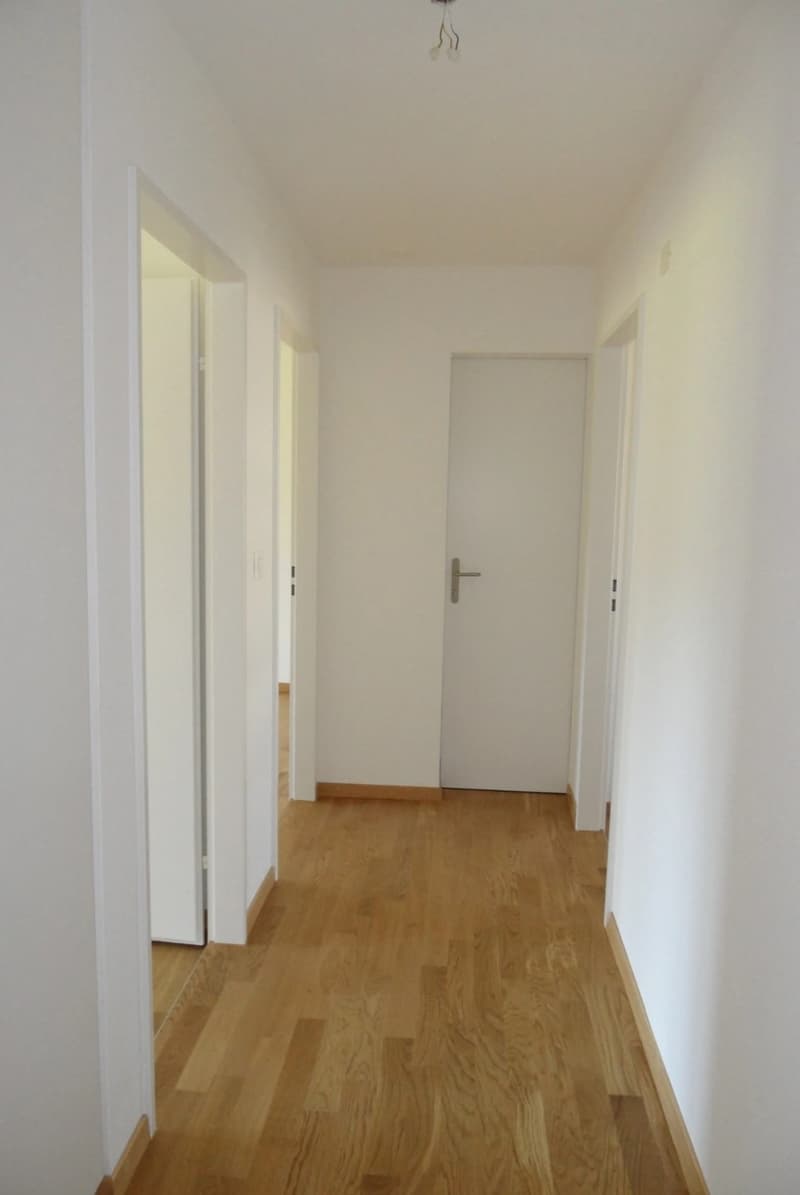 4.5-Zimmerwohnung Uster (Nachmieter) (6)