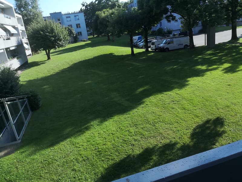 4.5-Zimmerwohnung Uster (Nachmieter) (8)
