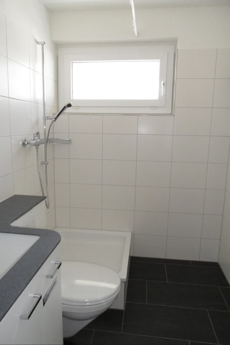 4.5-Zimmerwohnung Uster (Nachmieter) (5)
