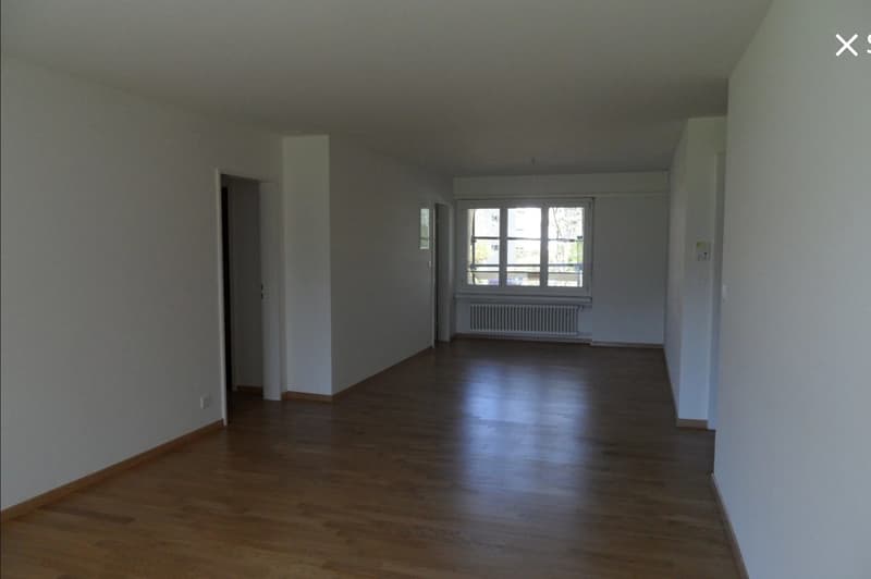 4.5-Zimmerwohnung Uster (Nachmieter) (3)