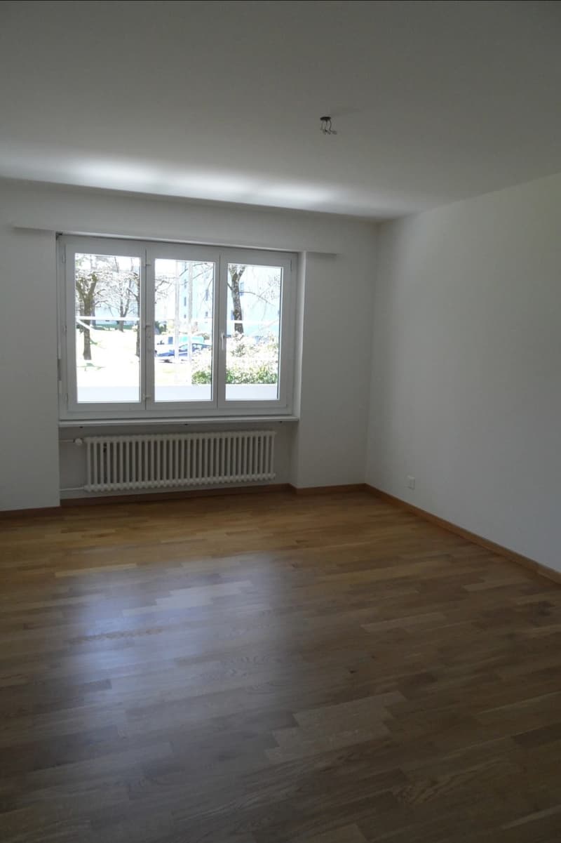4.5-Zimmerwohnung Uster (Nachmieter) (7)