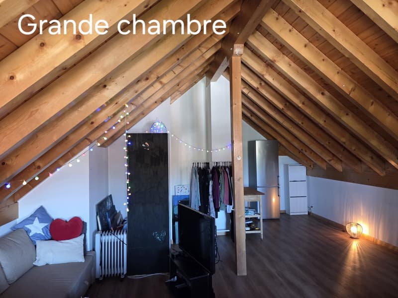 URGENT  Grande chambre (44 m²) + Petite chambre (12 m²) dans colocation à 4 - Gland proche gare ! (6)