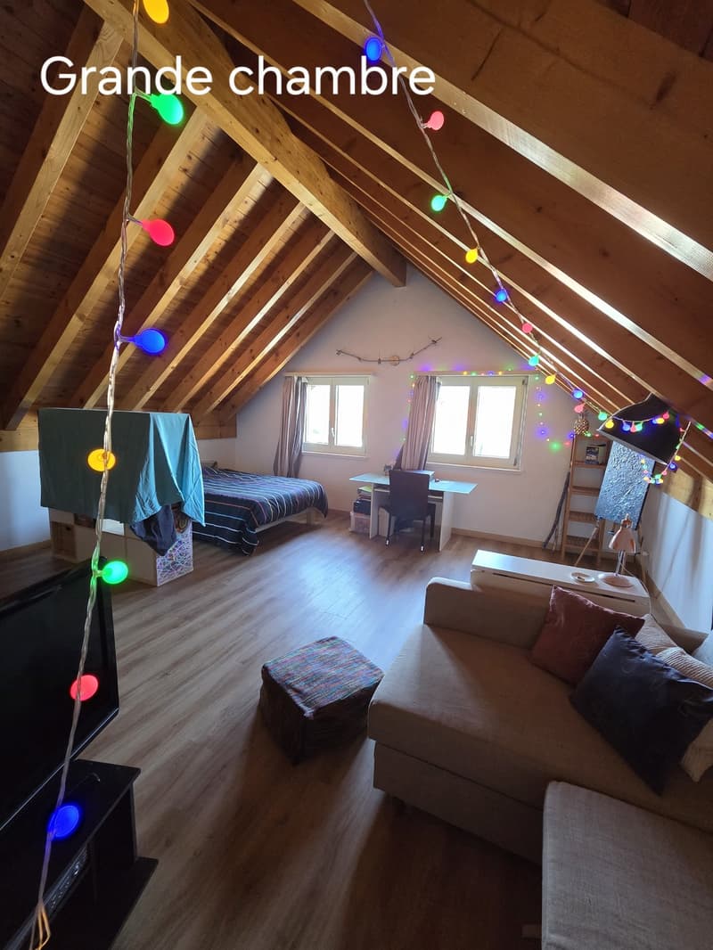 URGENT  Grande chambre (44 m²) + Petite chambre (12 m²) dans colocation à 4 - Gland proche gare ! (8)