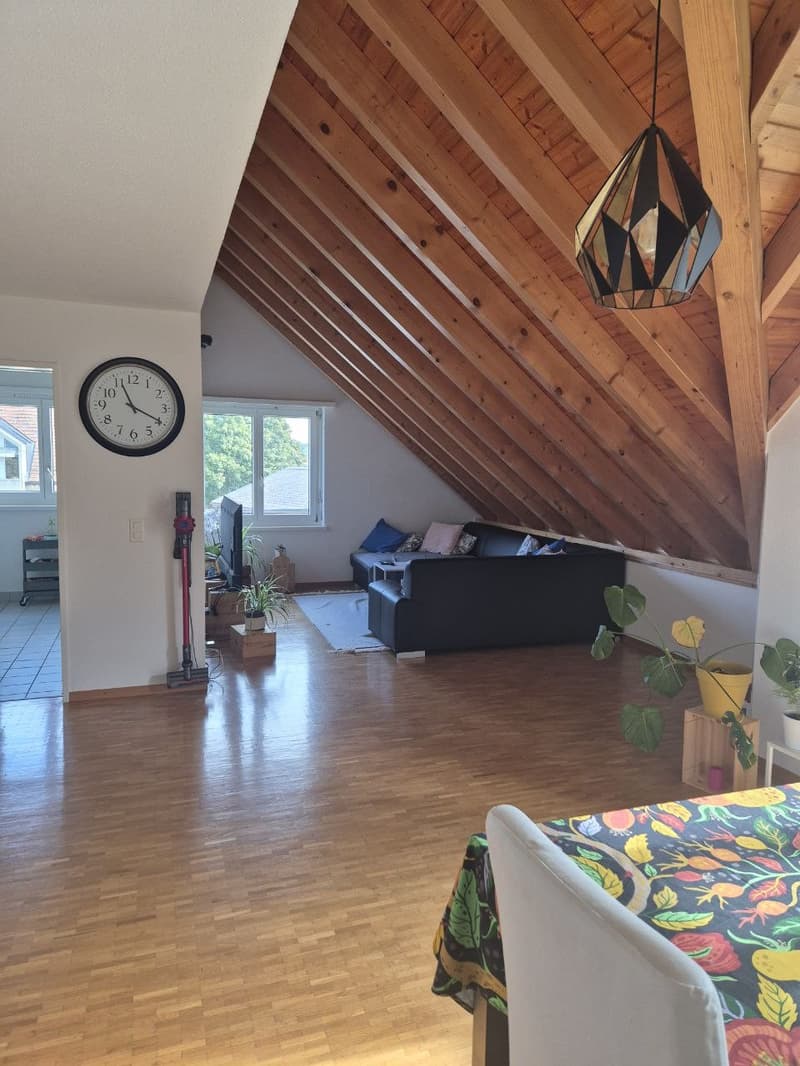 URGENT  Grande chambre (44 m²) + Petite chambre (12 m²) dans colocation à 4 - Gland proche gare ! (3)