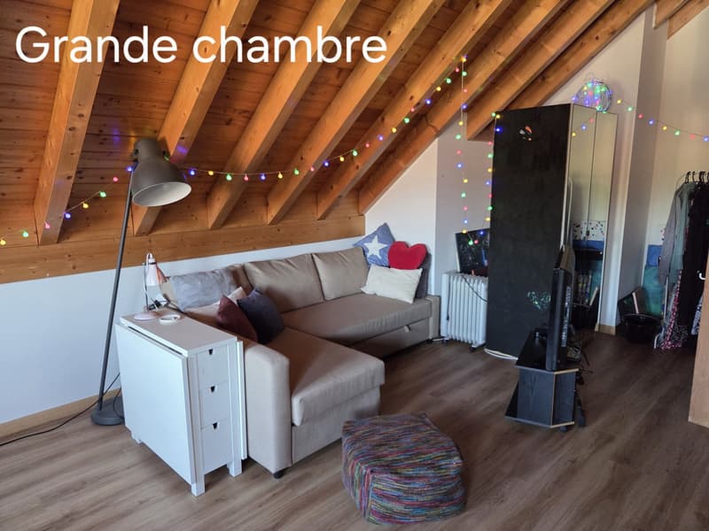 URGENT  Grande chambre (44 m²) + Petite chambre (12 m²) dans colocation à 4 - Gland proche gare ! (10)